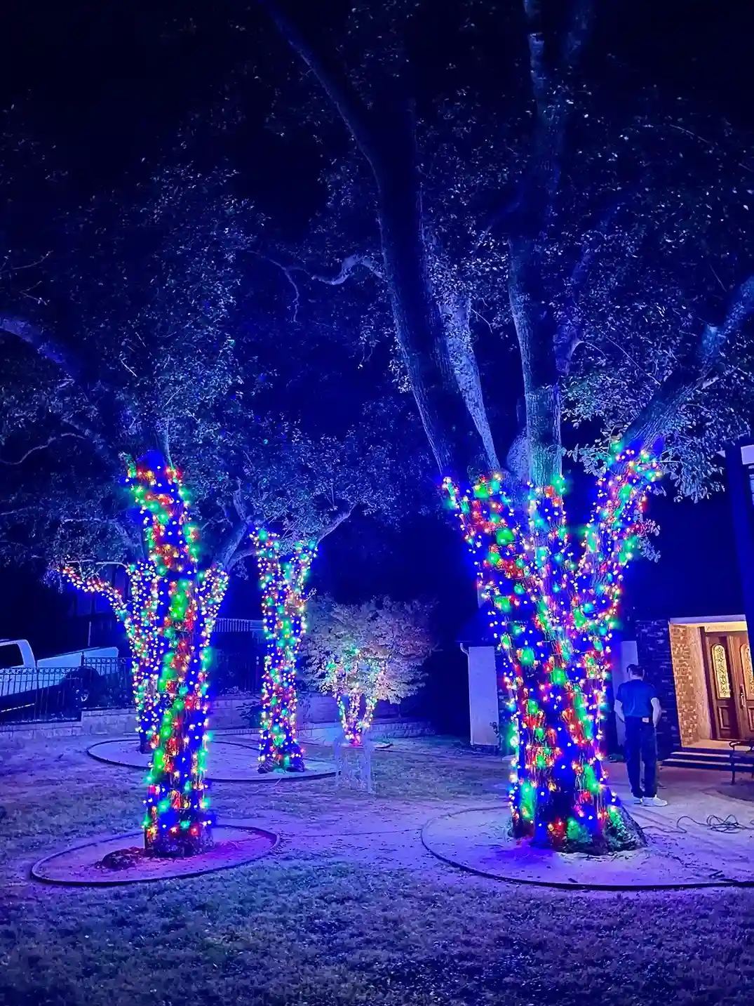 Colorful wrapped trees rgb — Christmas light installation in Riverside, CA