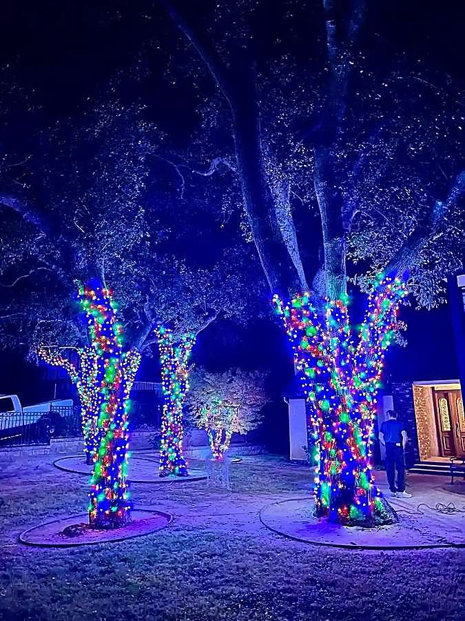 Trees wrapped in color-changing Christmas lights at a commercial property entrance