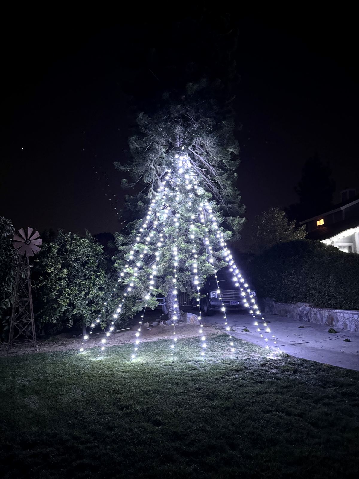Large tree with cascading Christmas lights over a commercial driveway