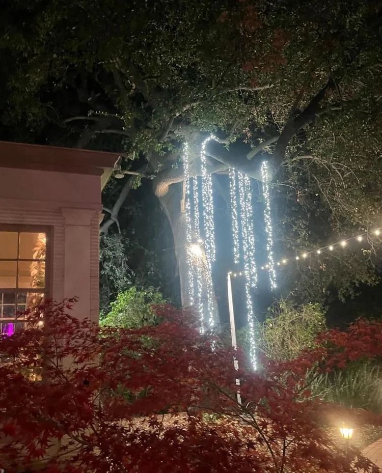 Hanging tree lights patio — Christmas light installation in Riverside, CA