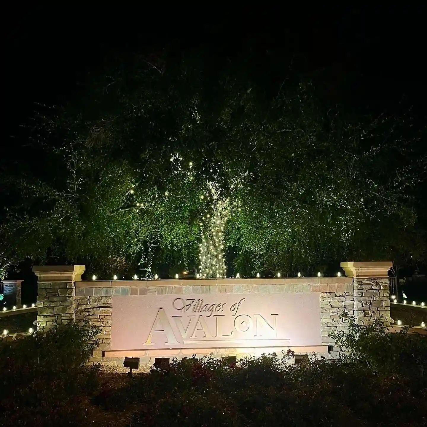 Christmas lighting on tree behind community entrance sign