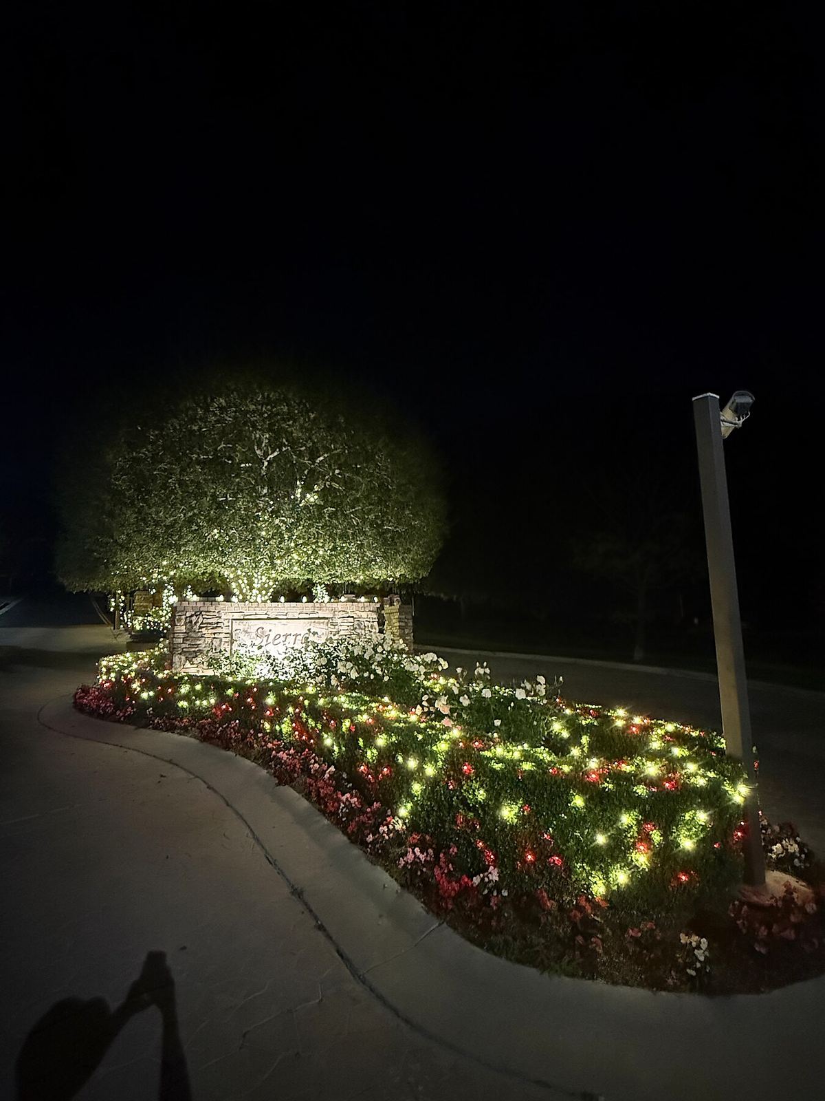 Monument sign uplit holiday night — Christmas light installation in Riverside, CA