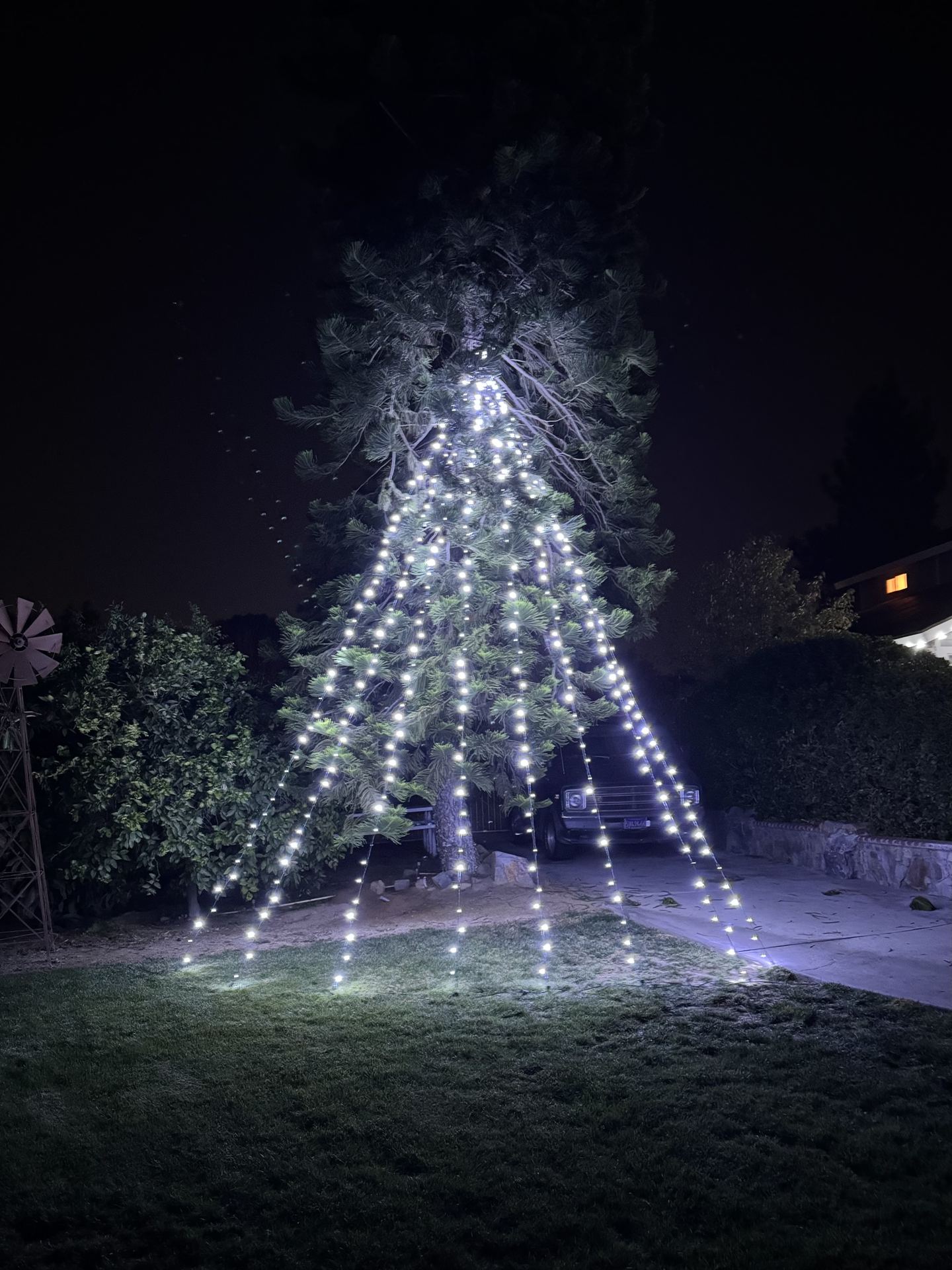 Waterfall-style light strands cascading down a pine tree — Christmas light installation in Riverside, CA