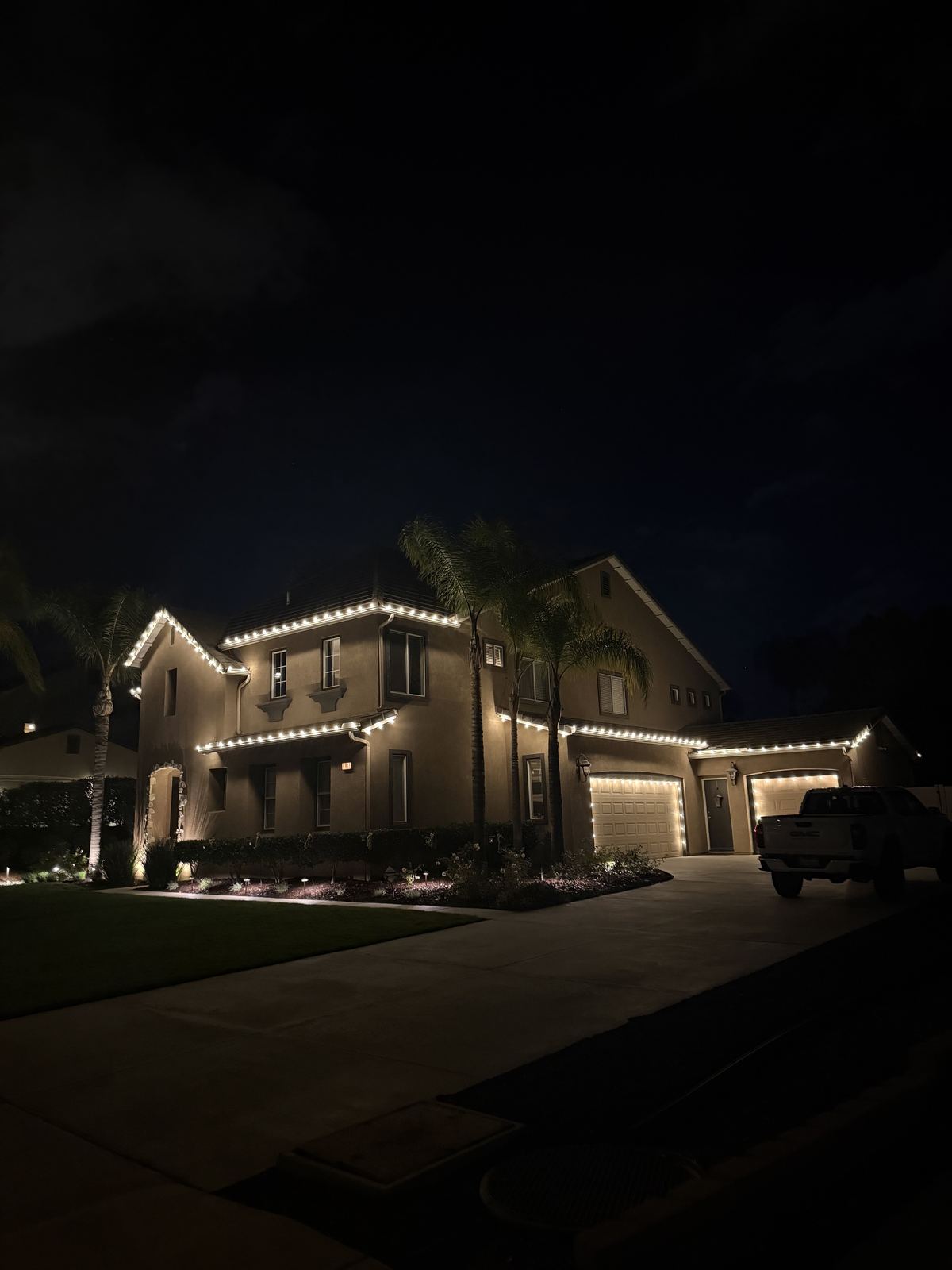 Two story minimal warm white palms — Christmas light installation in Riverside, CA