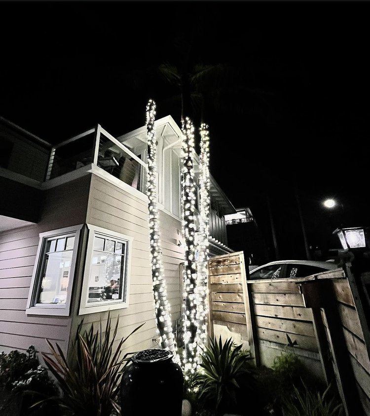 Narrow tree trunks wrapped in cool white Christmas lights near beach house