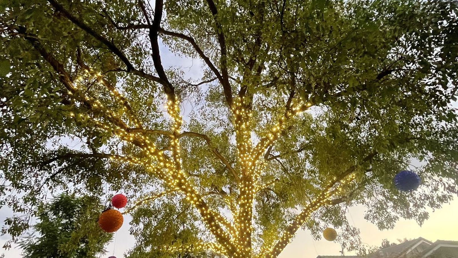 Outdoor lighting installation in Redlands, CA