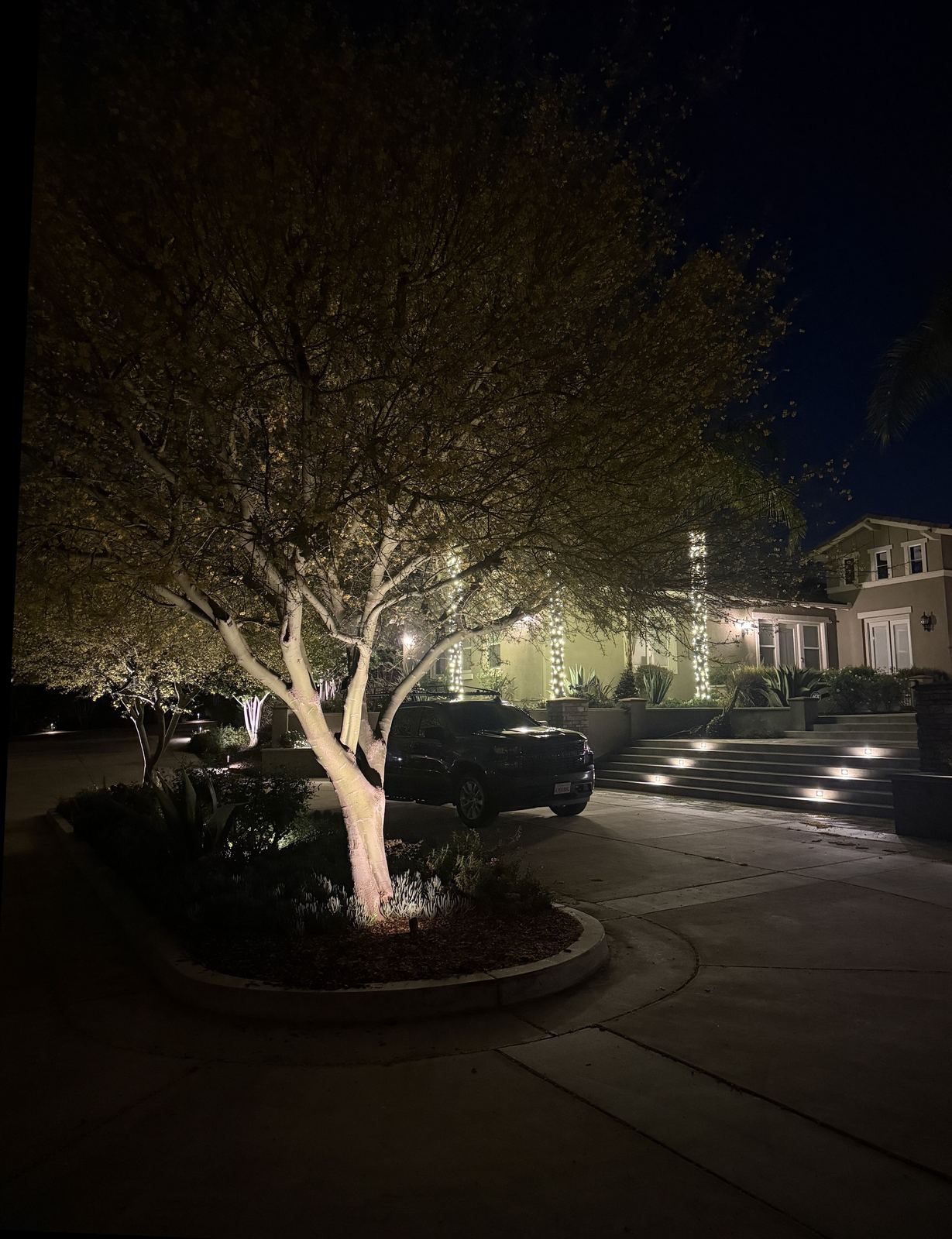Landscape uplighting on driveway trees with stair lights