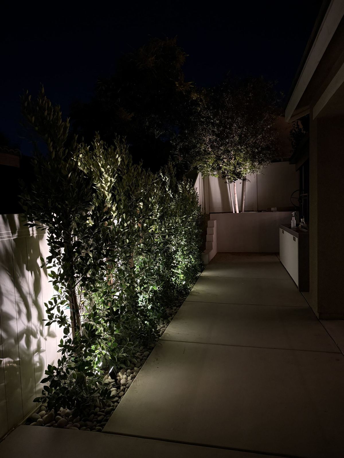 Landscape uplighting on hedge row along walkway