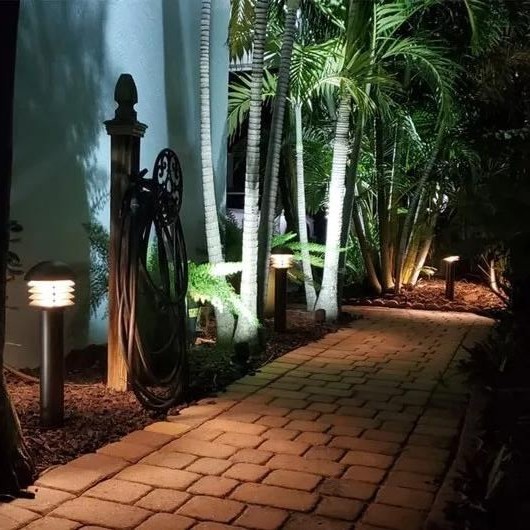 Landscape pathway lighting with bollard lights among palms