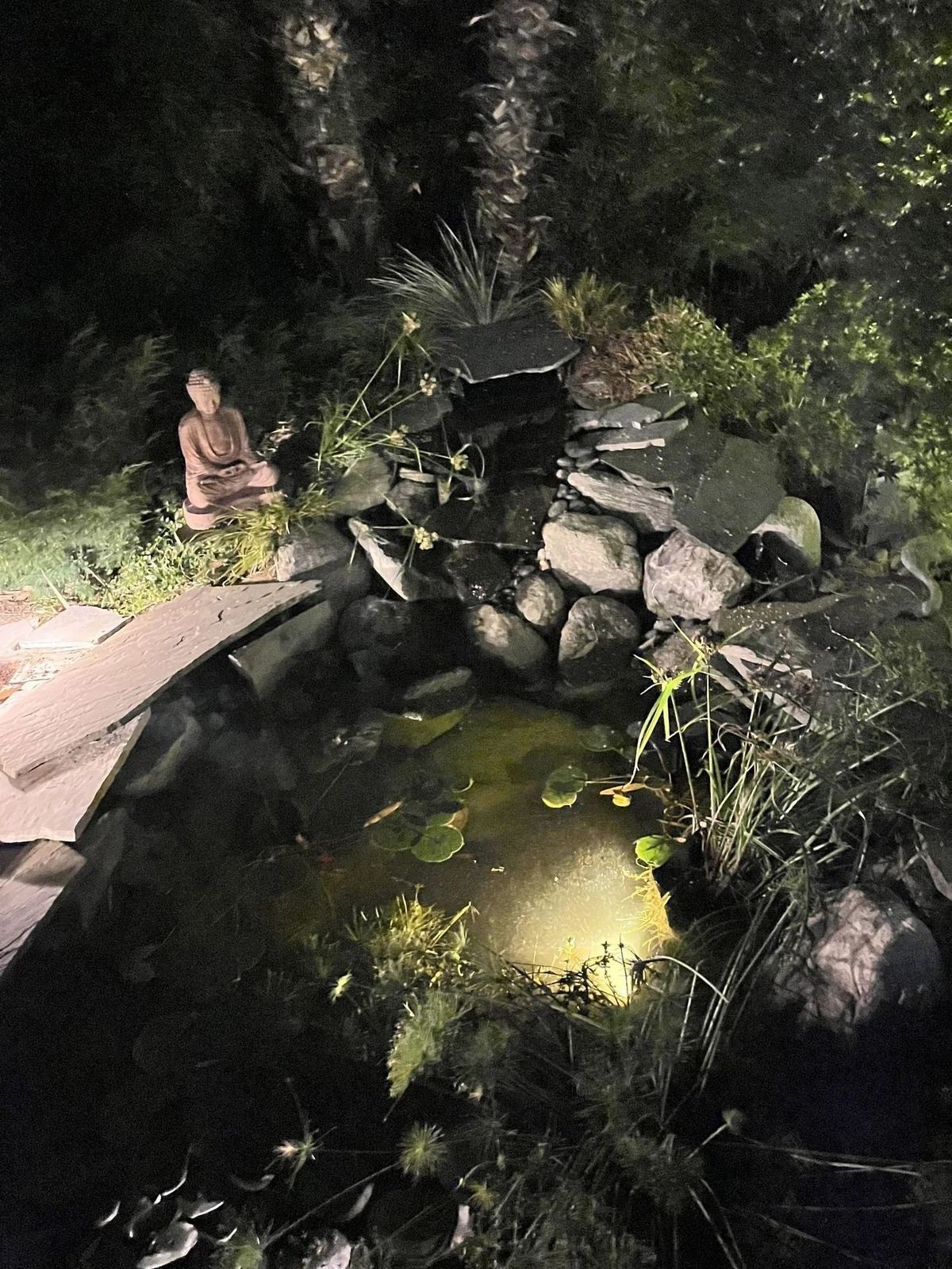 Pond buddha statue — landscape lighting install in Riverside, CA