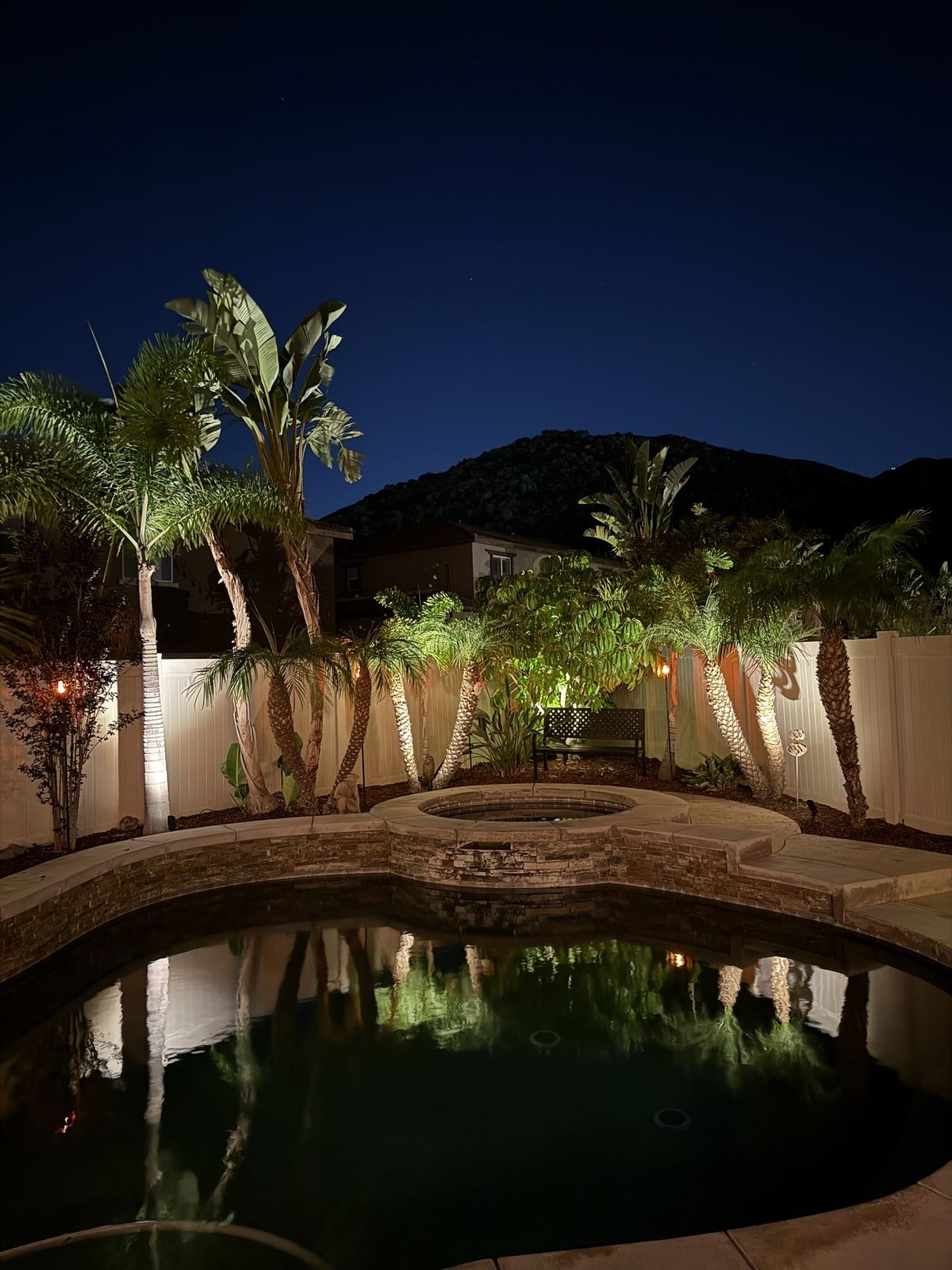 Landscape uplighting on palm trees along fence line by pool at night