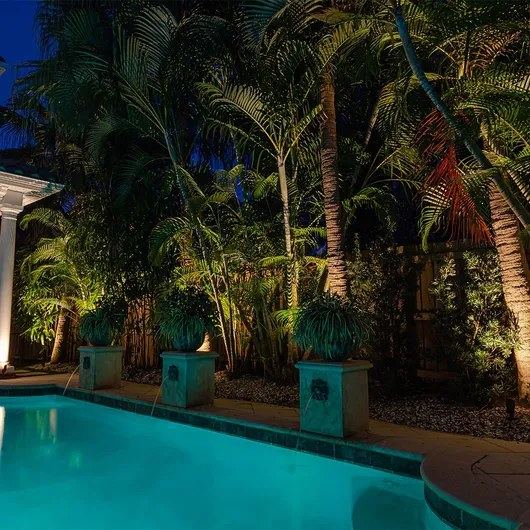 Landscape uplighting on ficus topiary urns by pool