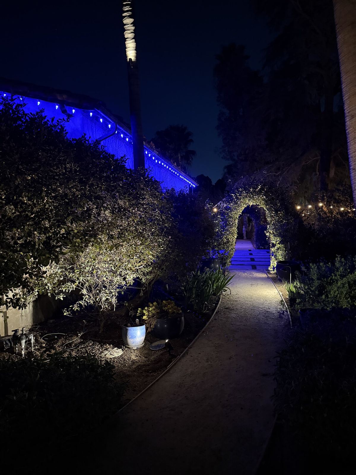 Blue archway pathway night — landscape lighting install in Riverside, CA