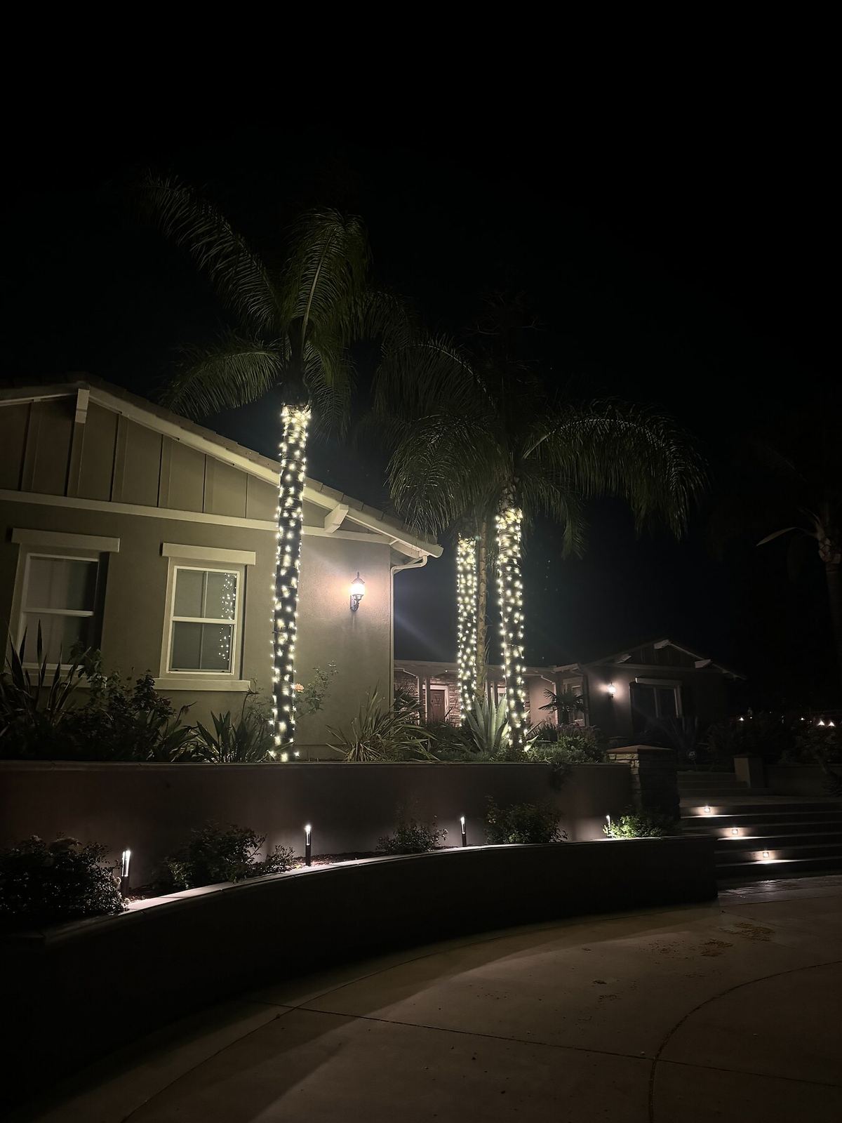 Palm trees warm white wrap night — landscape lighting install in Riverside, CA