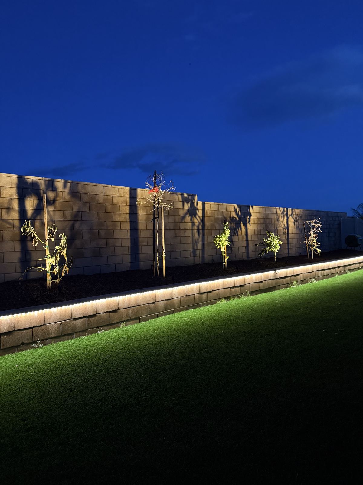 Retaining wall strip light new plants — landscape lighting install in Riverside, CA