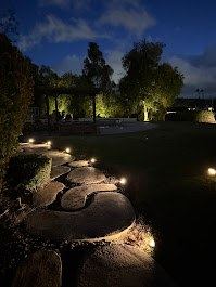 Landscape uplighting on stone patio with pergola