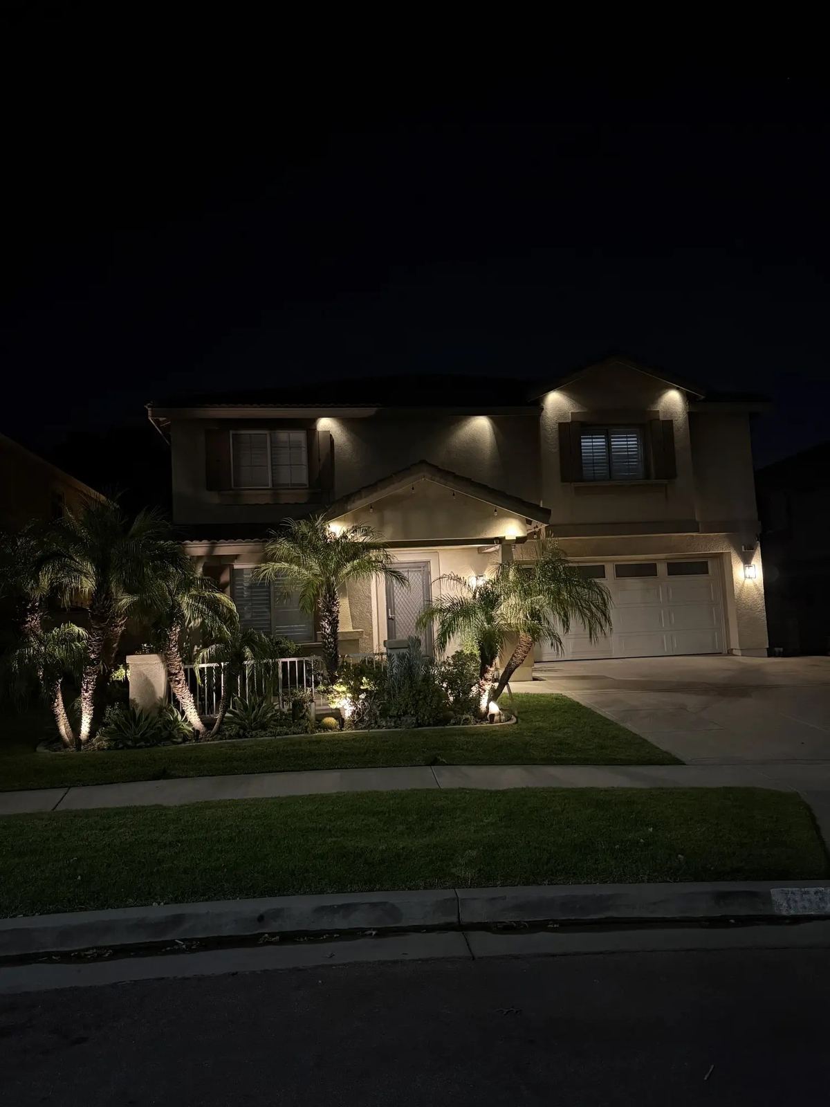 Two story palms beds uplit — landscape lighting install in Riverside, CA