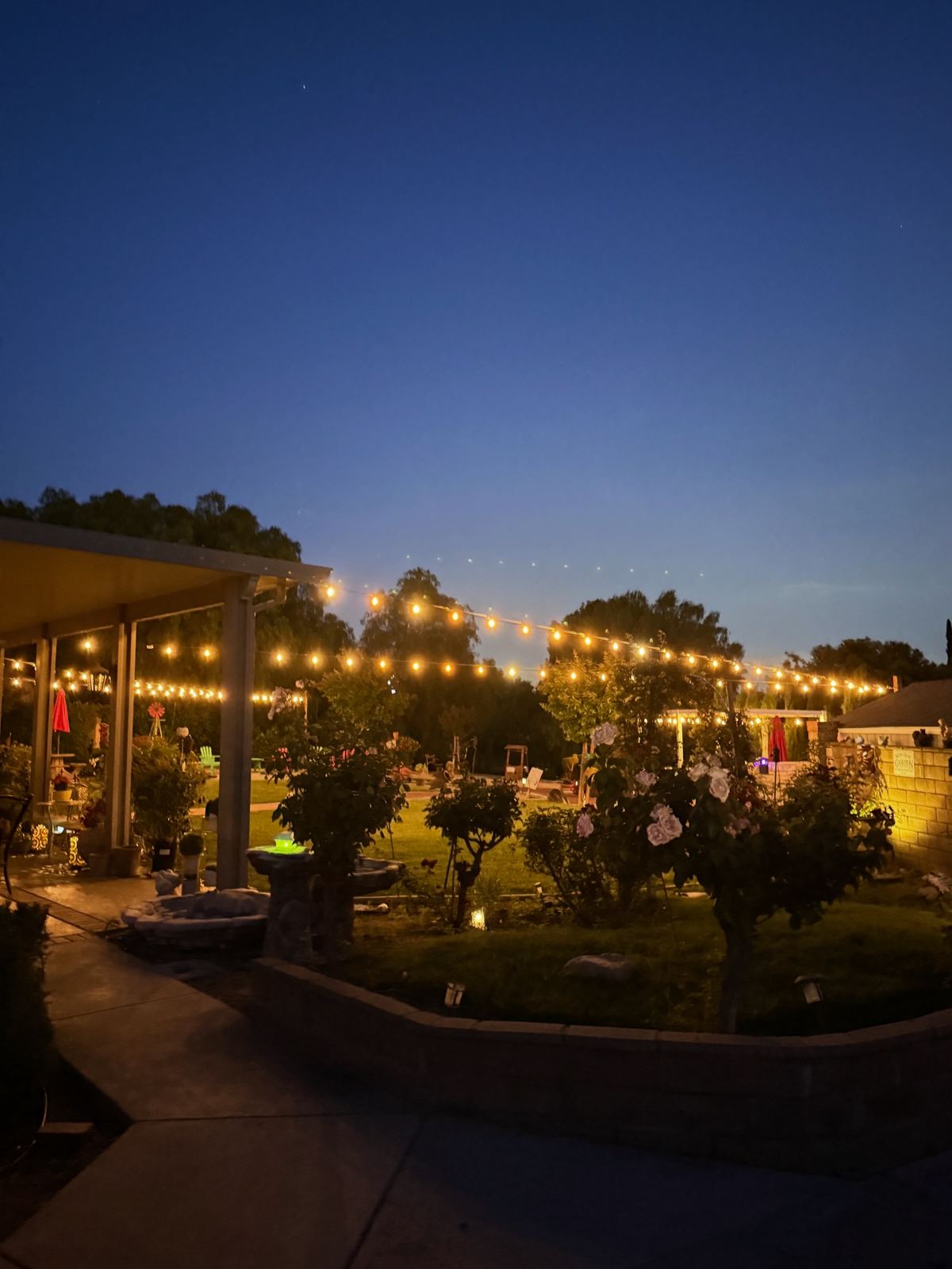 String lighting over wide backyard garden at dusk