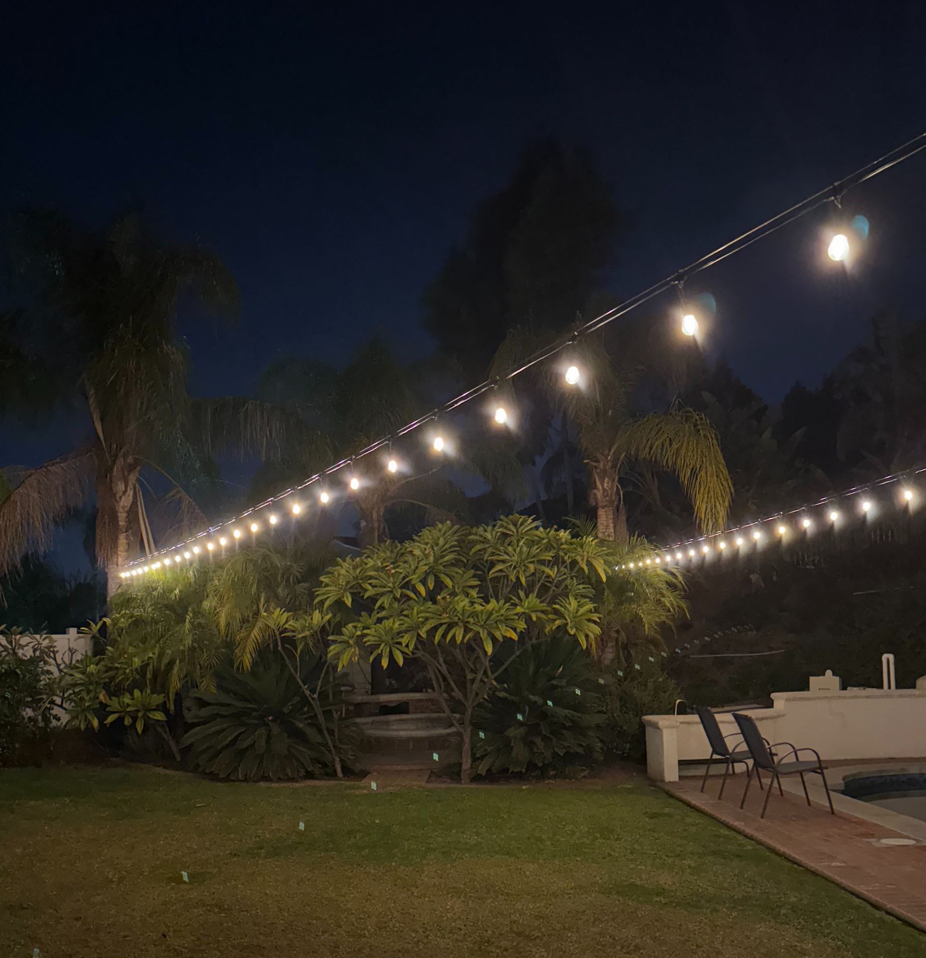 String lighting over backyard with palm trees — bistro & string lighting install in Riverside, CA