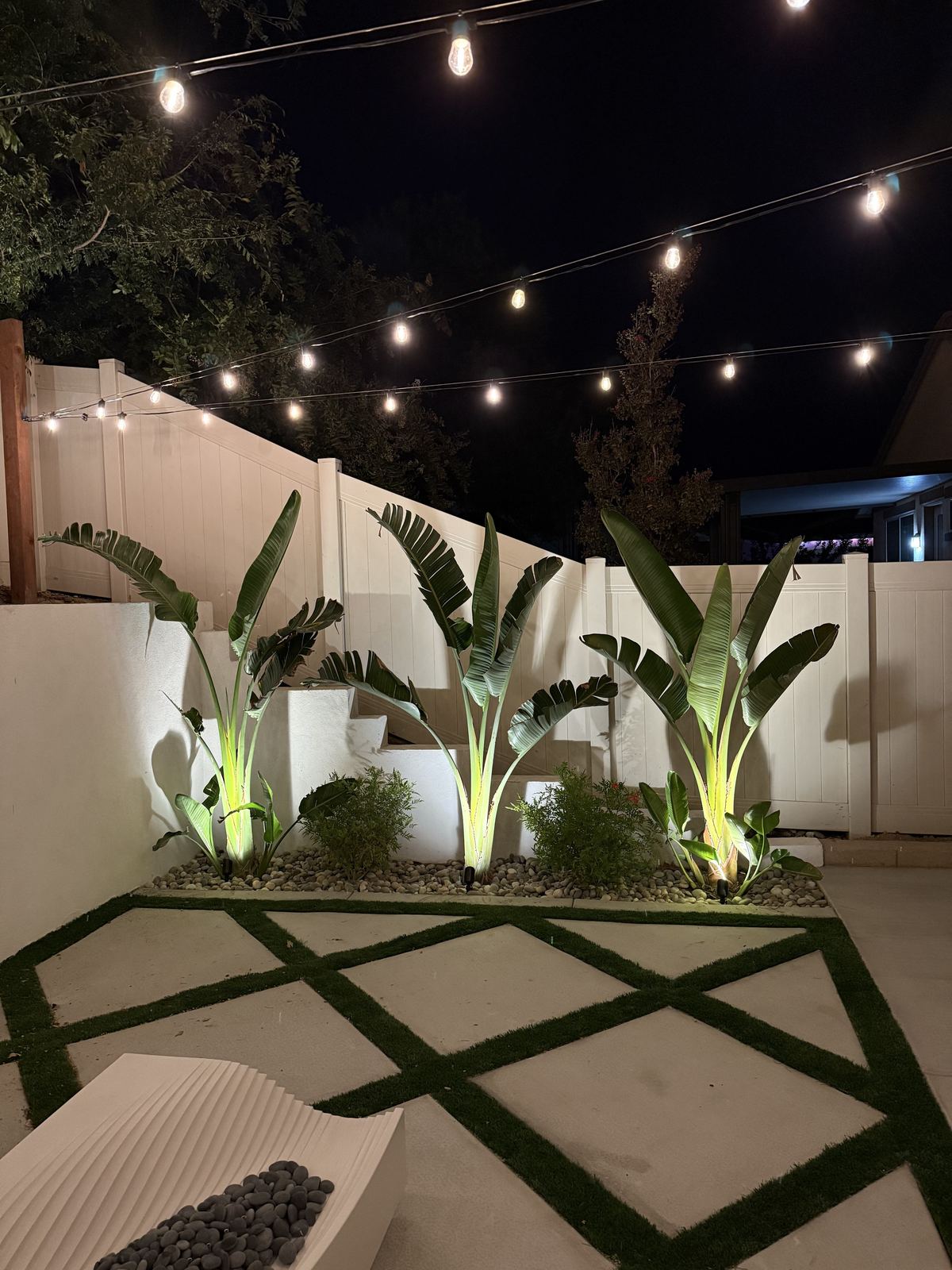 String lighting over patio with uplit bird of paradise plants
