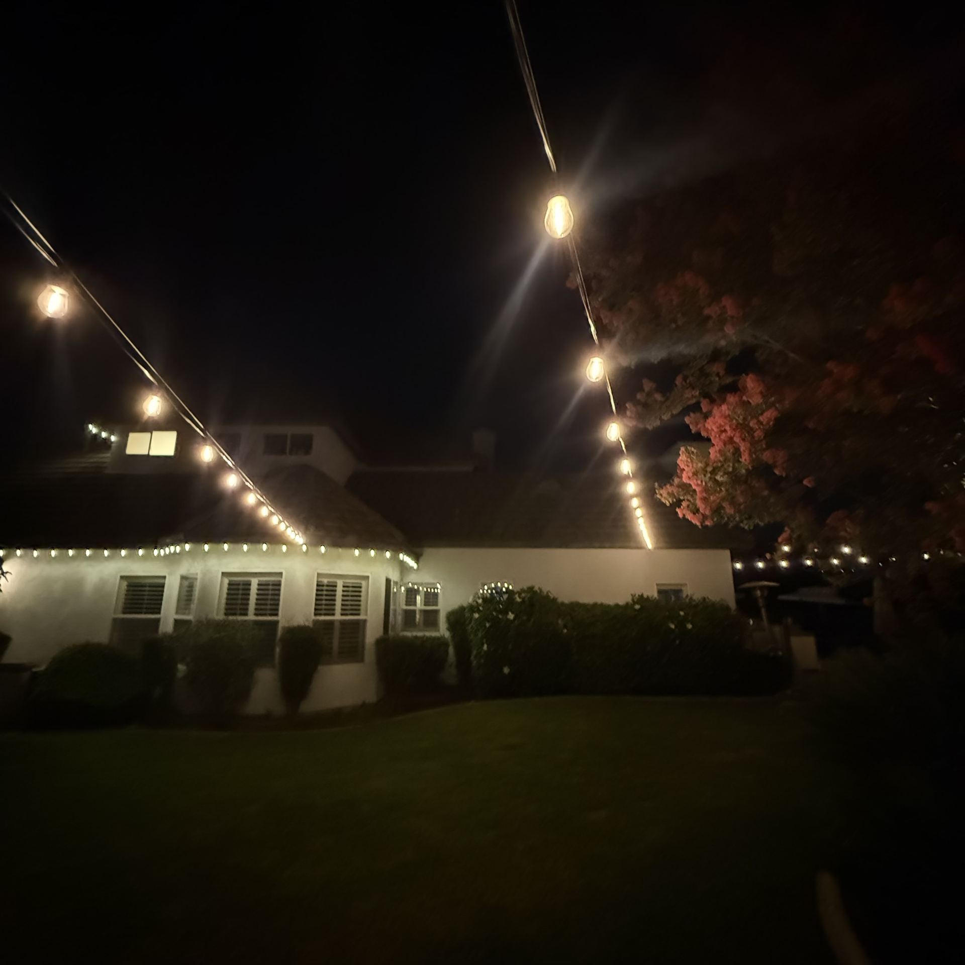 String lighting over pool and patio with palm trees at dusk — bistro & string lighting install in Riverside, CA