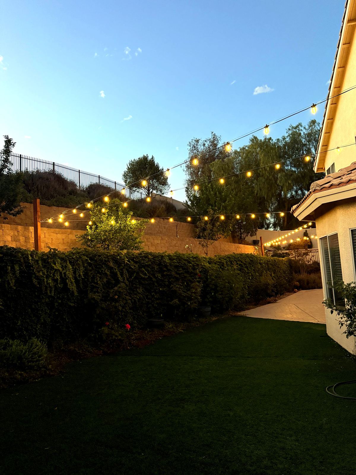 Backyard hedge dusk — bistro & string lighting install in Riverside, CA