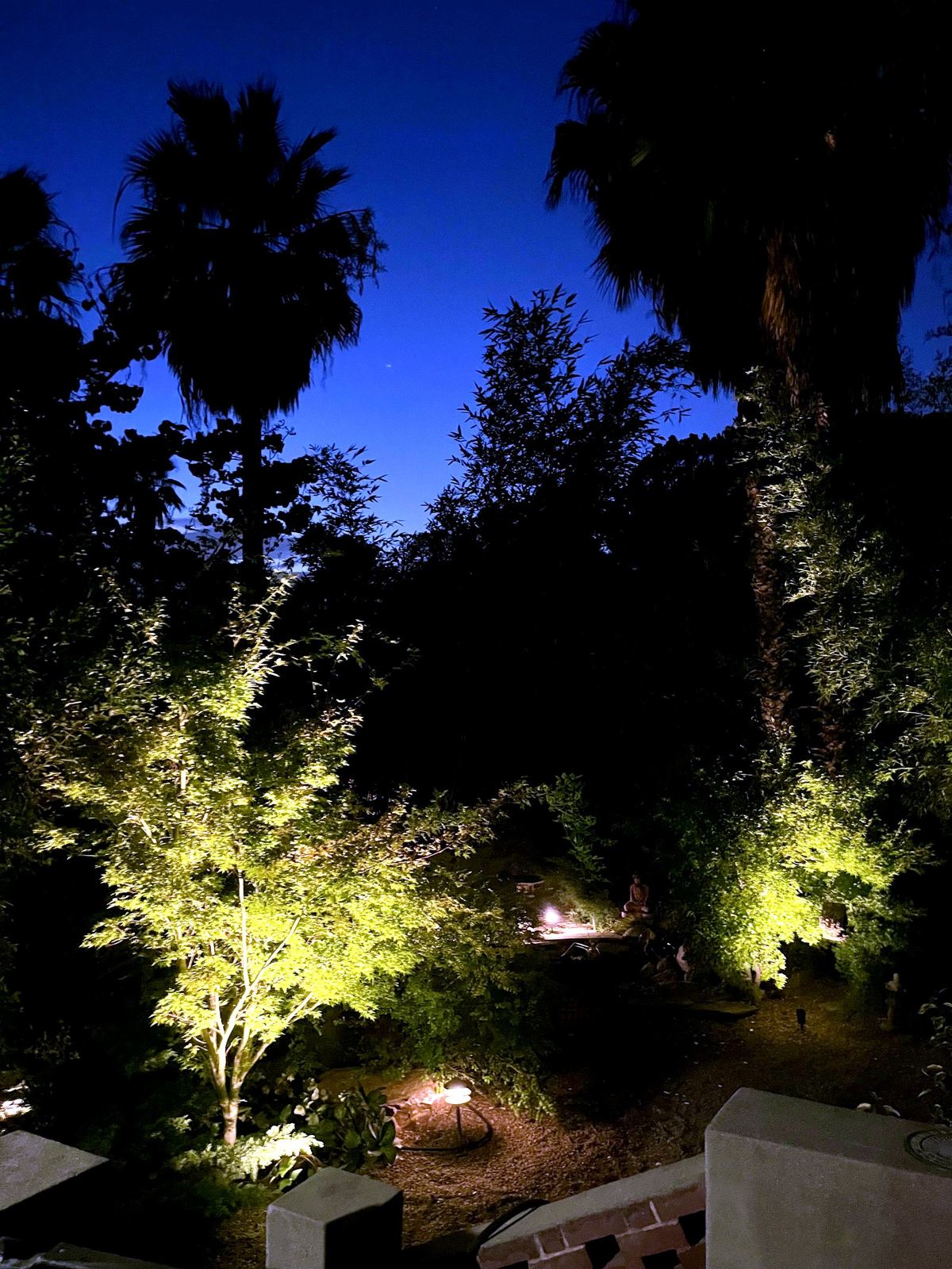 Parking lot dramatic night — landscape lighting install in Riverside, CA