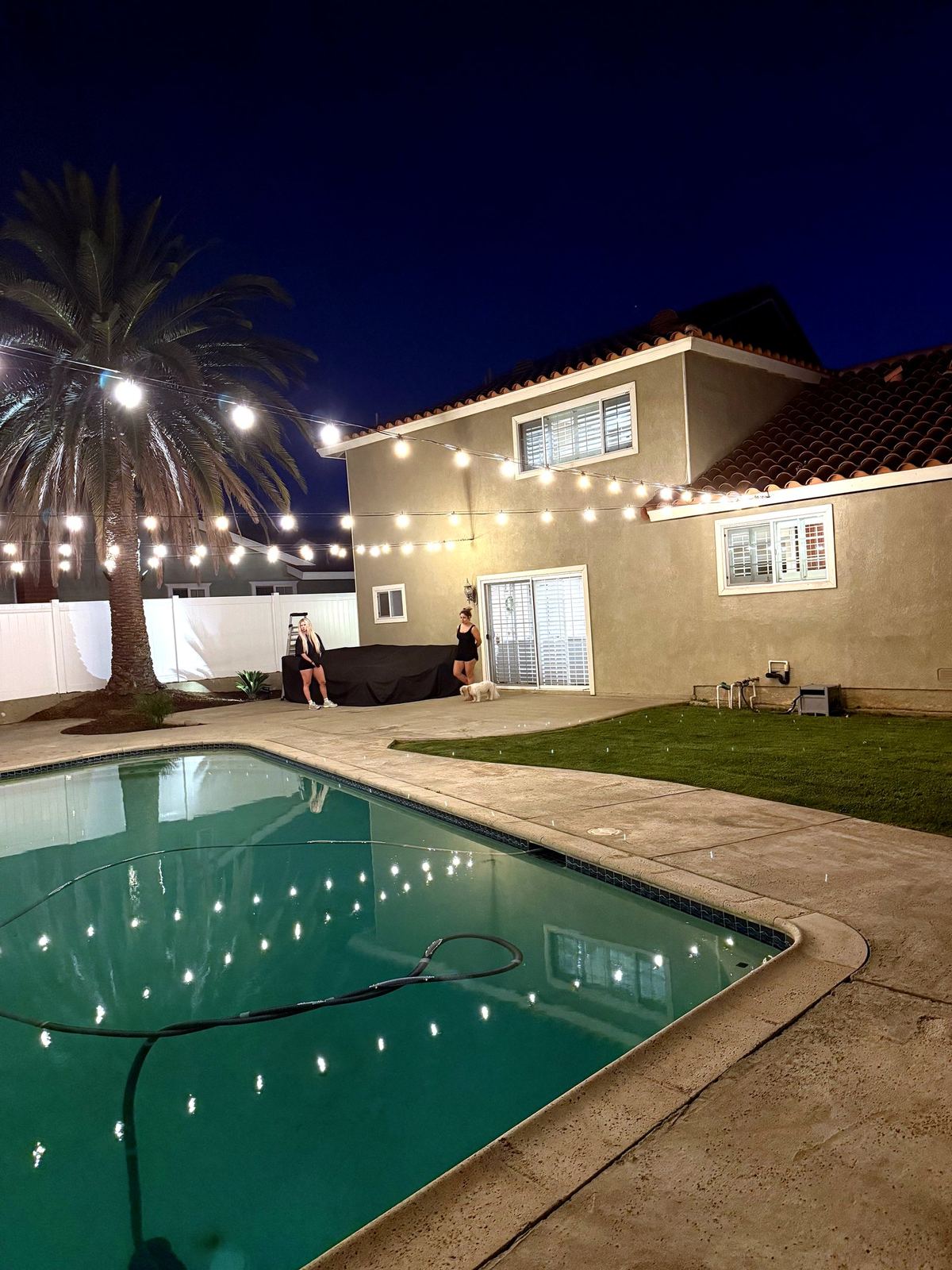 Pool palm night people — bistro & string lighting install in Riverside, CA