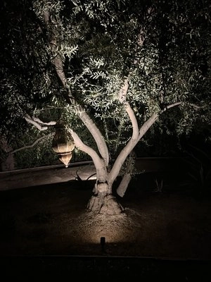 image - 2025-07-25T182739