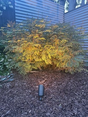 image - 2025-07-25T183420