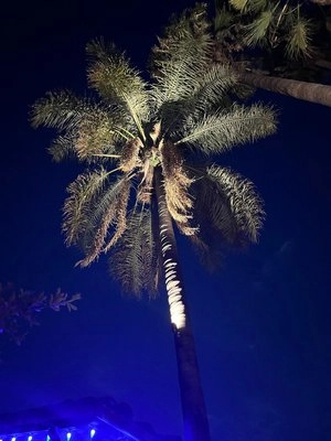 image - 2025-07-25T183508