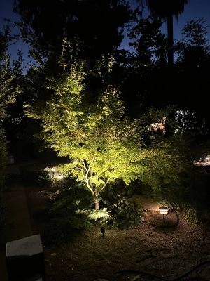 image - 2025-07-25T183647